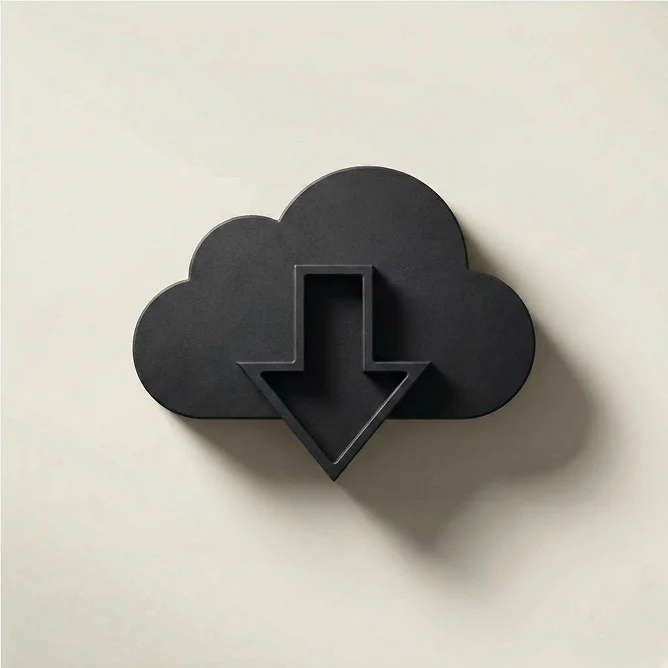 Digital Download - Image 2